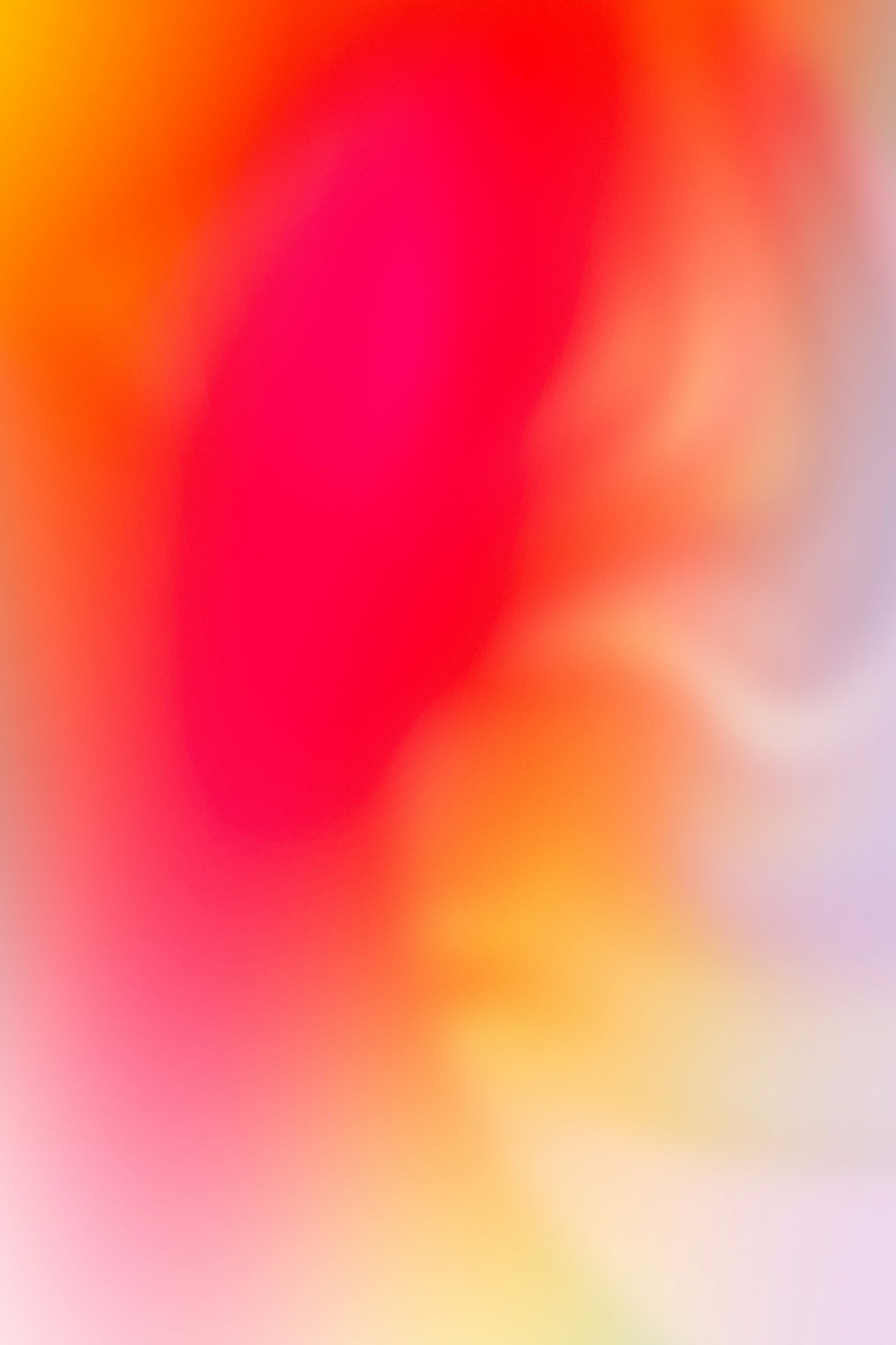 Conceptual colorful photo of food